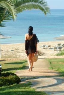 Hotel Alion Beach