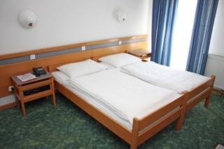 Hotel Alp