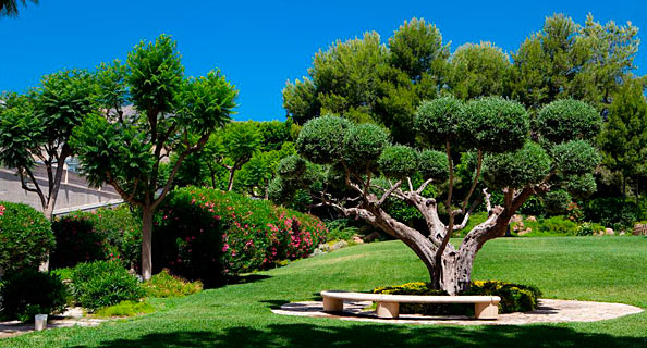 Hotel Amaltea Lorca