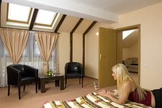 Hotel Ambient Pension