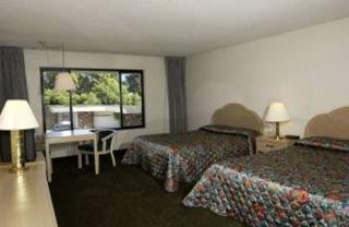 Hotel America's Best Value Water Tree