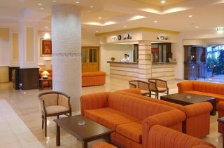 Hotel Anesis