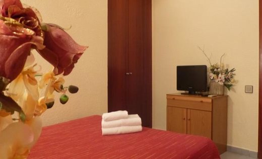 Hotel Aneto