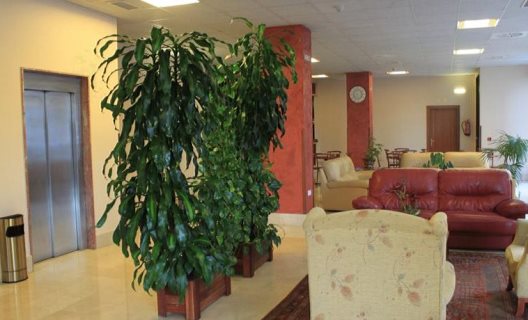 Hotel Arbeyal
