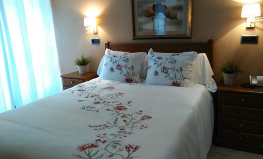 Hotel Arco Navia