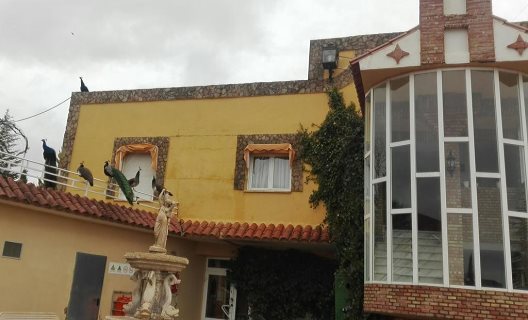 Hotel Arcojalon