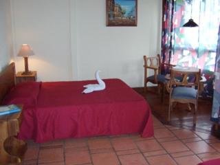 Hotel Arenal Vista Lodge