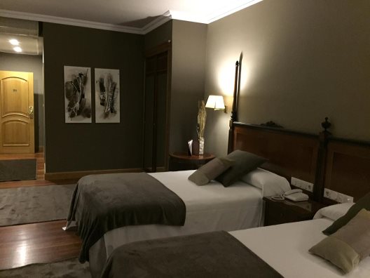 Hotel Armiñe