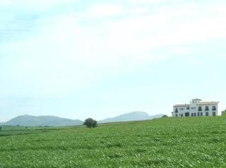 Hotel Arriadh