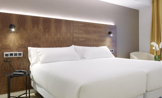 Hotel Arrizul Congress