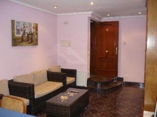 Hotel Artetxe