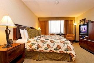 Hotel Aurola Holiday Inn