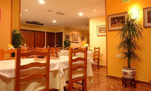 Hotel Avenida Plaza