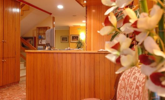 Hotel Avenida Plaza