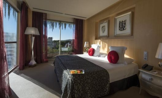 Hotel Avenida Sofia Hotel Boutique Spa