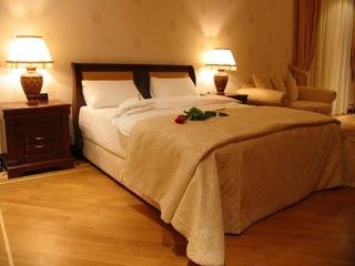 Hotel Ayf Palace