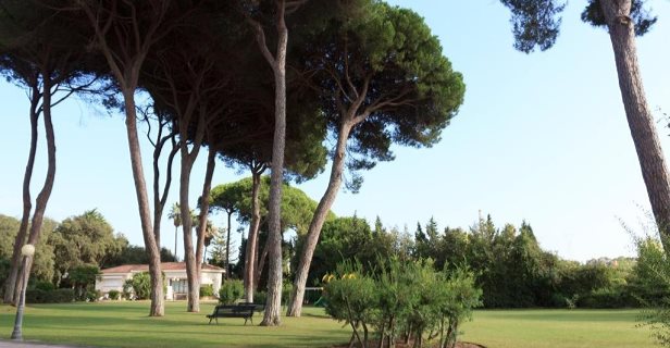 Hotel Azz Guadacorte Campo De Gibraltar
