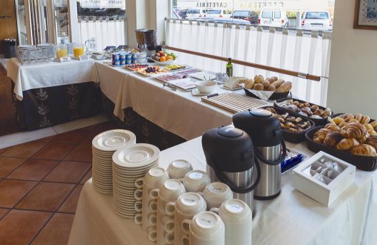 Hotel Balmes Vic