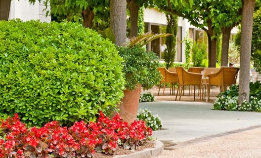Hotel Balneario Prats