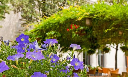 Hotel Balneario Prats
