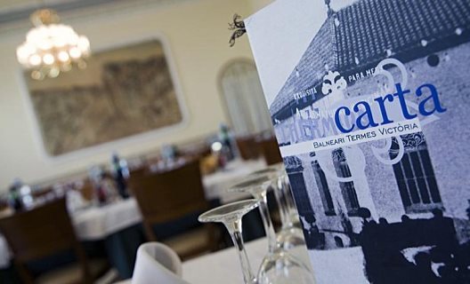 Hotel Balneario Termes Victoria