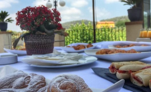 Hotel Balneario Termes Victoria