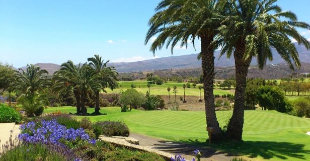 Hotel Bandama Golf