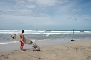 Hotel Barcelo Langosta Beach