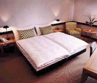 Hotel Baslertor Swiss Quality