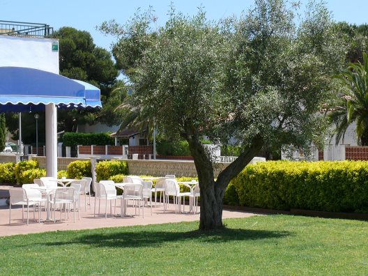 Hotel Bay