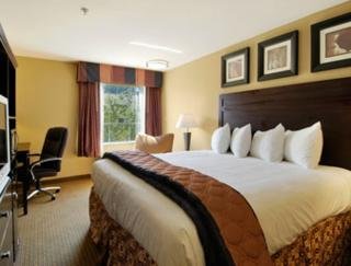 Hotel Baymont Inn & Suites Lafayette