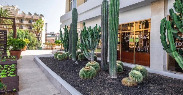 Hotel Be Live Adults Only Tenerife