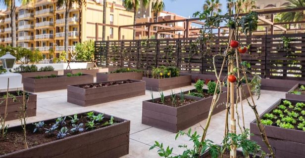 Hotel Be Live Adults Only Tenerife
