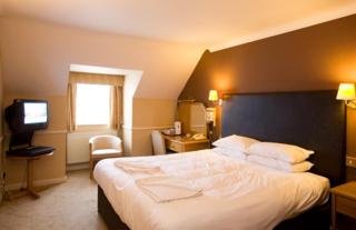 Hotel Bear