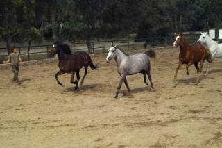 Hotel Berke Ranch