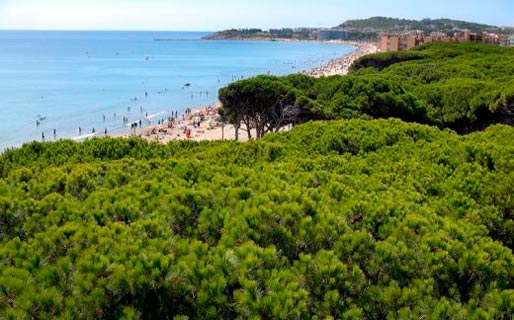 Hotel Best Terramarina