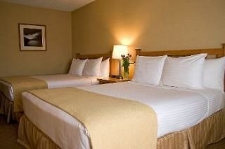Hotel Best Western Airport Executel
