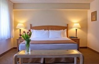 Hotel Best Western Airport Executel