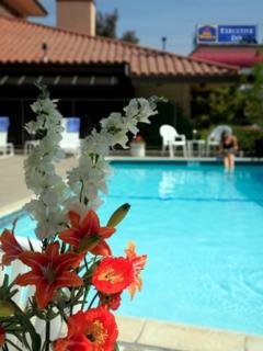 Hotel Best Western Executive Inn