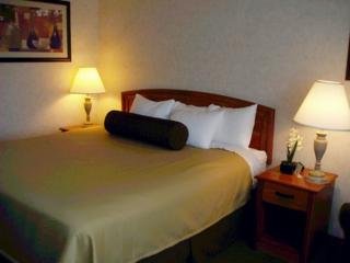 Hotel Best Western Holiday