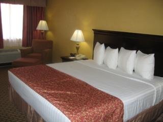 Hotel Best Western International Drive