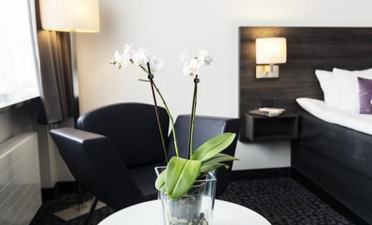 Hotel Best Western Mercur