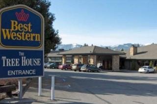 Hotel Best Western Plus Tree House Motor Inn
