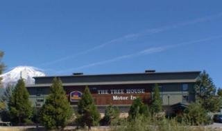 Hotel Best Western Plus Tree House Motor Inn