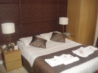 Hotel Best Western Windsor