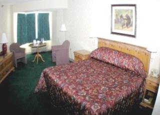 Hotel Black Bear Inn Conference Center & Suites