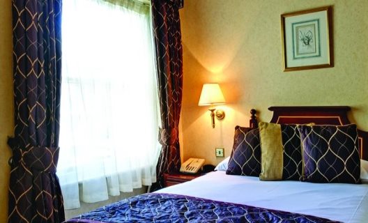 Hotel Blooms Townhouse
