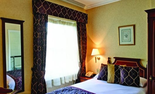 Hotel Blooms Townhouse