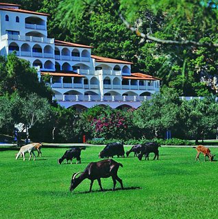 Hotel Blue Collection Kiris World