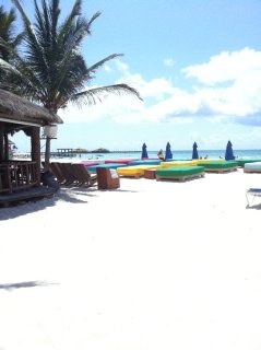 Hotel Blue Parrot Suites